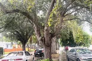 1931 Jefferson St, Hollywood, FL 33020 - Photo 18