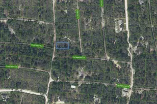 425 Twilight Dr, Sebring, FL 33852 - Photo 1