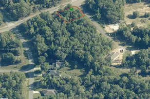 11286 N Terra Cotta Dr, Citrus Springs, FL 34434 - Photo 1