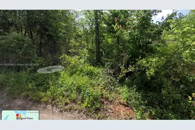 0 Locust Place, Ocala, FL 34472 - Photo 2