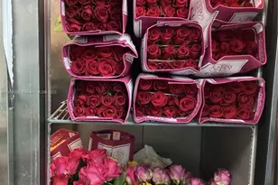 [Address not provided], Miami, FL 33125 - Photo 1