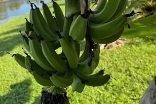 1894 Aspen Ln, Weston, FL 33327 - Photo 80