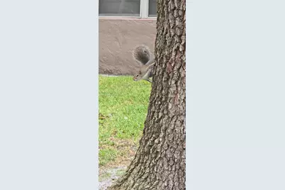 1200 NW 87th Ave #513, Coral Springs, FL 33071 - Photo 54