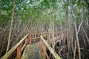 5950 Paradise Point Dr, Palmetto Bay, FL 33157 - Photo 82