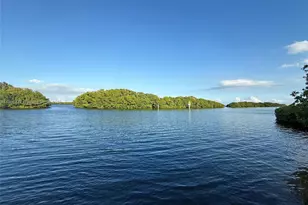 5950 Paradise Point Dr, Palmetto Bay, FL 33157 - Photo 78