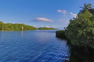 5950 Paradise Point Dr, Palmetto Bay, FL 33157 - Photo 72