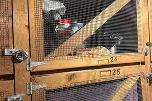 1425 Arthur St, Hollywood, FL 33020 - Photo 26