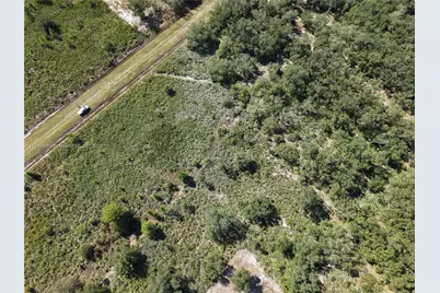 15527 NW 252nd, Okeechobee, FL 34972 - Photo 6