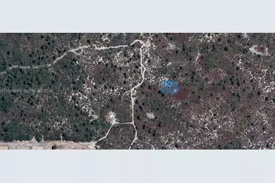 431 Lucille Lane, Lake Placid, FL 33852 - Photo 4