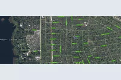 305 Dolly Lane, Lake Placid, FL 33852 - Photo 2