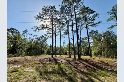 0 NW 157th Ave, Williston, FL 32696 - Photo 2