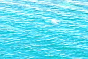 1625 Kennedy Causeway, North Bay Village, FL 33141 - Photo 44