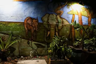 561 NW 53rd St, Miami, FL 33127 - Photo 78