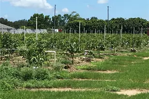 15000 SW 256th St, Homestead, FL 33032 - Photo 1