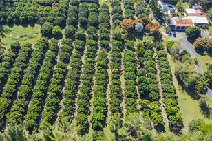 19051 SW 147th Ave, Miami, FL 33187 - Photo 32