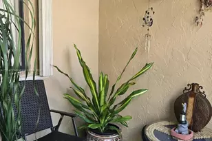 302 Lakeview Dr, Weston, FL 33326 - Photo 6