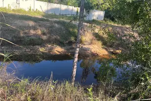 55 Douglas Ave S, Other City - In The State Of Florida, FL 33976 - Photo 20