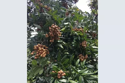 340 SW 217  Ave, Homestead, FL 33034 - Photo 2