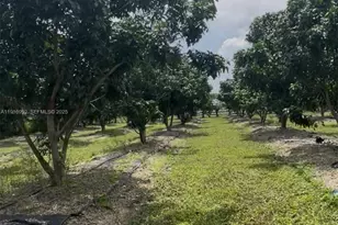 340 SW 217 Ave, Homestead, FL 33034 - Photo 1