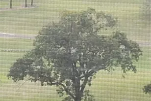 4174 Inverrary Dr, Lauderhill, FL 33319 - Photo 54