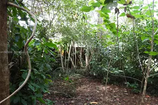 705 SW 14th Ave, Fort Lauderdale, FL 33312 - Photo 16