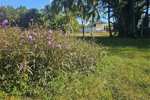 6255 SW 123rd Ave, Miami, FL 33183 - Photo 2