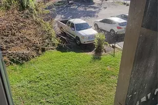 13285 Arbor Pointe Cir, Tampa, FL 33617 - Photo 34