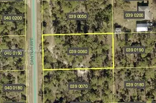 2312 Canton Ave, Lehigh Acres, FL 33920 - Photo 1
