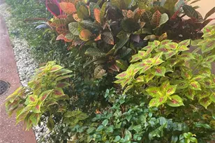 9261 Sunrise Lakes Blvd, Sunrise, FL 33322 - Photo 30