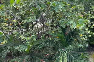 55 Ocean Ln Dr, Key Biscayne, FL 33149 - Photo 58