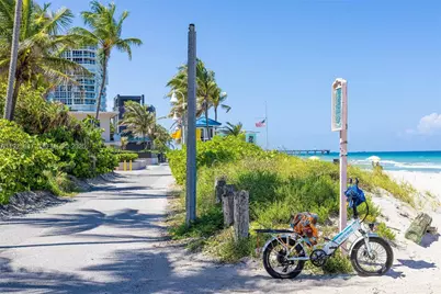 336 Palm St, Hollywood, FL 33019 - Photo 48