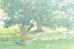 10370 SW 220th St, Cutler Bay, FL 33190 - Photo 4