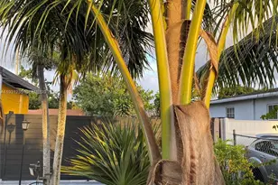 10529 NW 37th Ave, Miami, FL 33147 - Photo 12