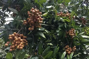 340Xx SW 217 Ave, Homestead, FL 33034 - Photo 2