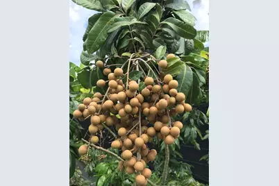 340Xx SW 217  Ave, Homestead, FL 33034 - Photo 12