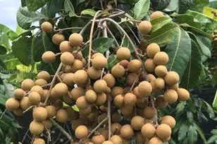 340Xx SW 217 Ave, Homestead, FL 33034 - Photo 12