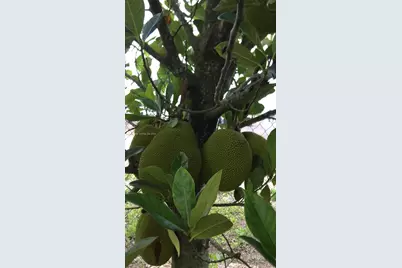 340Xx SW 217  Ave, Homestead, FL 33034 - Photo 6