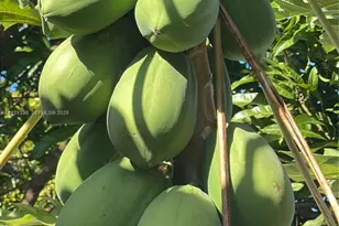 340Xx SW 217 Ave, Homestead, FL 33034 - Photo 10