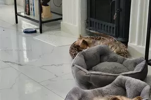 210 NE 110th St, Miami, FL 33161 - Photo 26