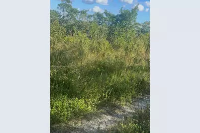 Unincorporated, Unincorporated, Homestead, FL 33035 - Photo 6