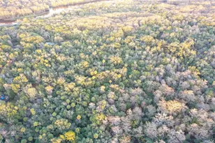 13254 E Shawnee Trail, Inverness, FL 34450 - Photo 1