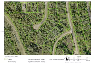 1850 Norma Ct, Lehigh Acres, FL 33972 - Photo 1