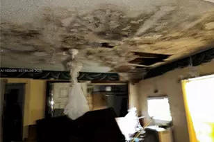 3271 NW 102nd St, Miami, FL 33147 - Photo 6