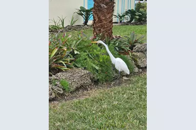 9360 SW 168th St #0, Palmetto Bay, FL 33157 - Photo 2