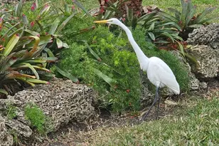 9360 SW 168th St, Palmetto Bay, FL 33157 - Photo 2