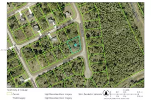 1875 Murray, Lehigh Acres, FL 33972 - Photo 1