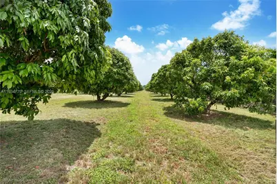 206 SW Street Between 137 Ave & 139 Ave, Miami, FL 33177 - Photo 10