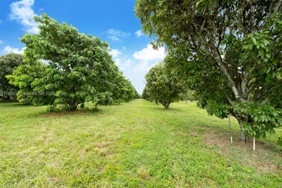 206 SW Street Between 137 Ave & 139 Ave, Miami, FL 33177 - Photo 14