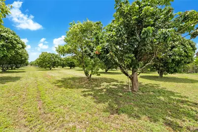 206 SW Street Between 137 Ave & 139 Ave, Miami, FL 33177 - Photo 8