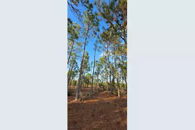 17923 NW 298 St, Okeechobee, FL 34972 - Photo 12